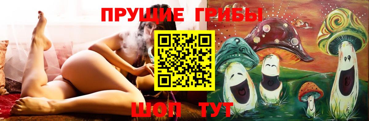 как найти наркотики  Вход с VPN  Гусев  Псилоцибиновые грибы прущие грибы 